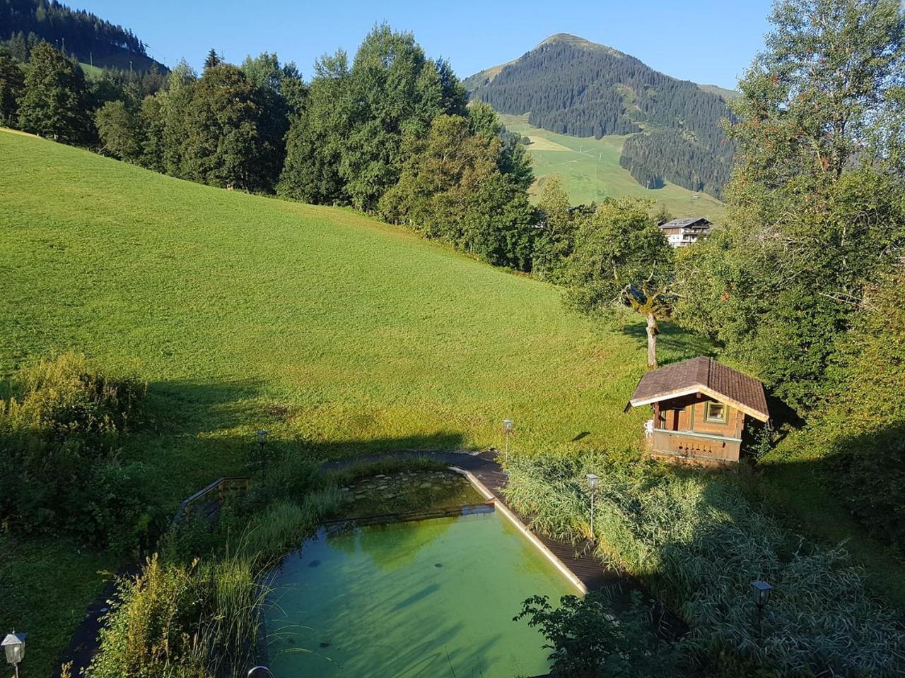 Ski In Ski Out Hotel Unterellmau Saalbach-Hinterglemm Exteriör bild